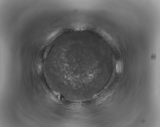 X0000096161444200802011245