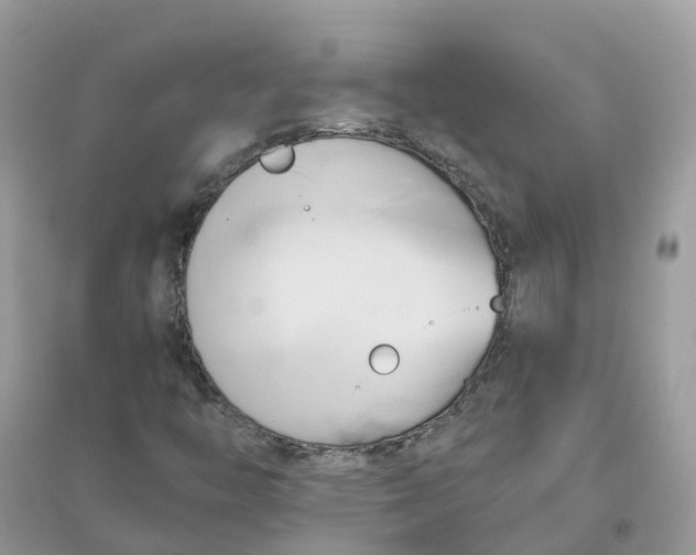 X0000096161446200802011245