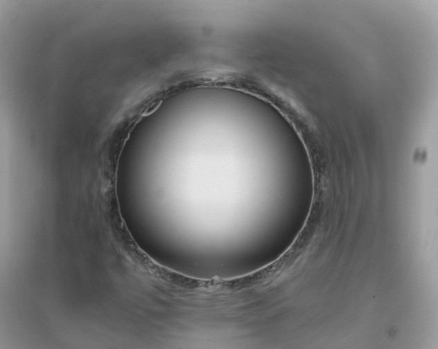 X0000096161447200802011245