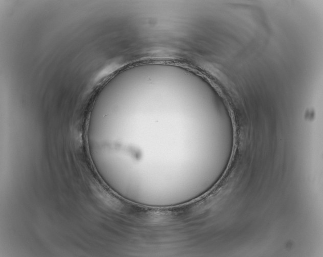 X0000096161451200802011244