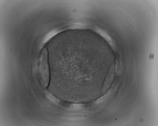 X0000096161453200802011244