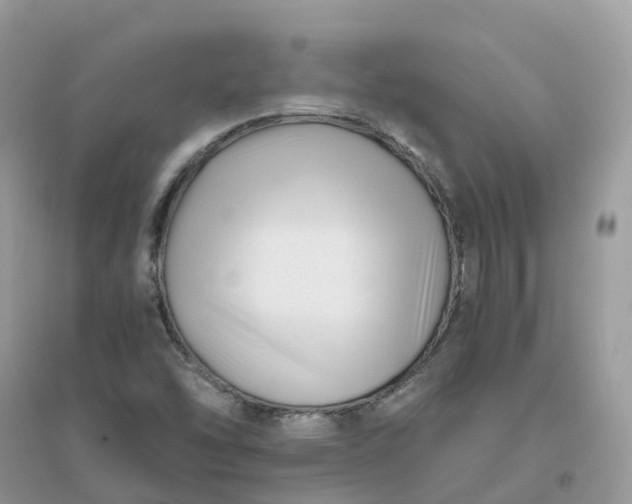 X0000096161454200802011244