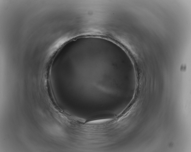 X0000096161455200802011244