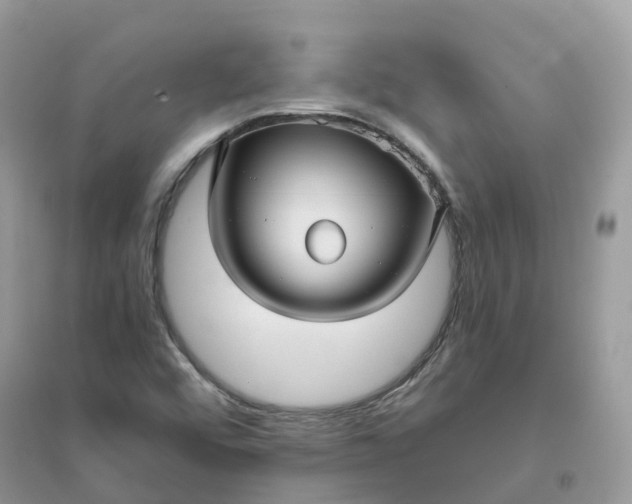 X0000096161456200802011244