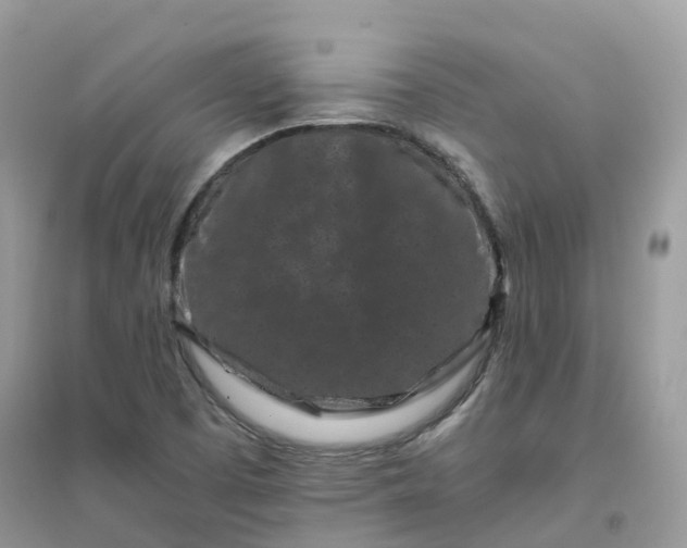 X0000096161457200802011244