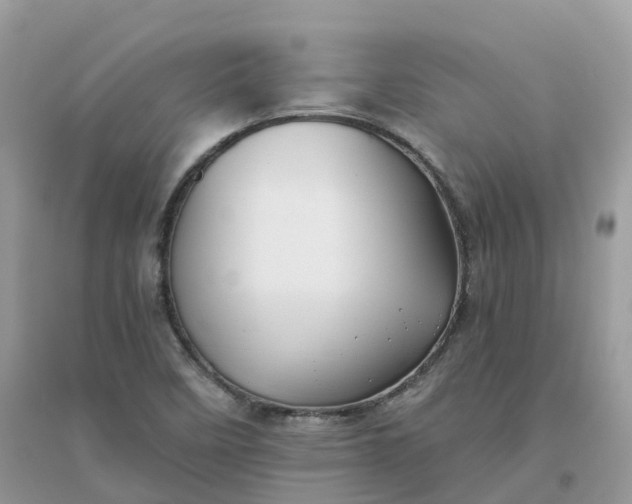 X0000096161458200802011244