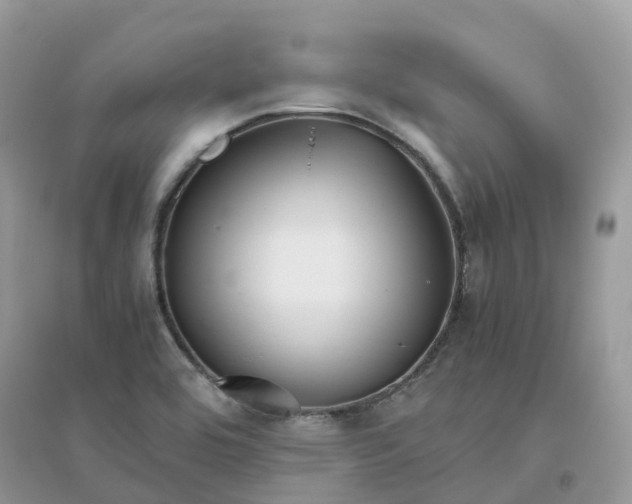 X0000096161464200802011244