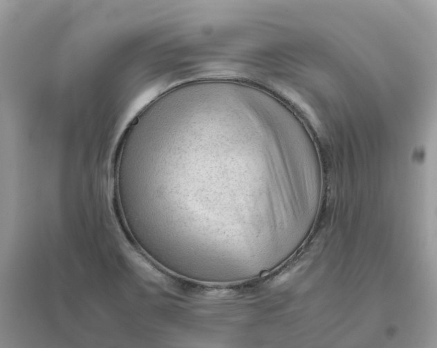 X0000096161467200802011244