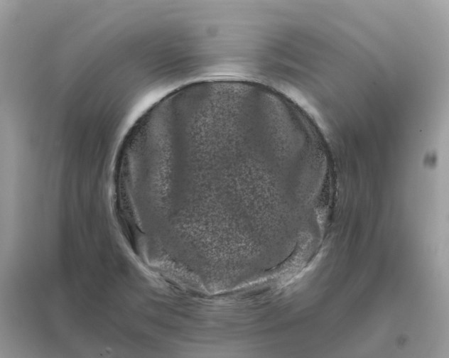 X0000096161469200802011244