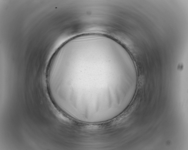 X0000096161470200802011244