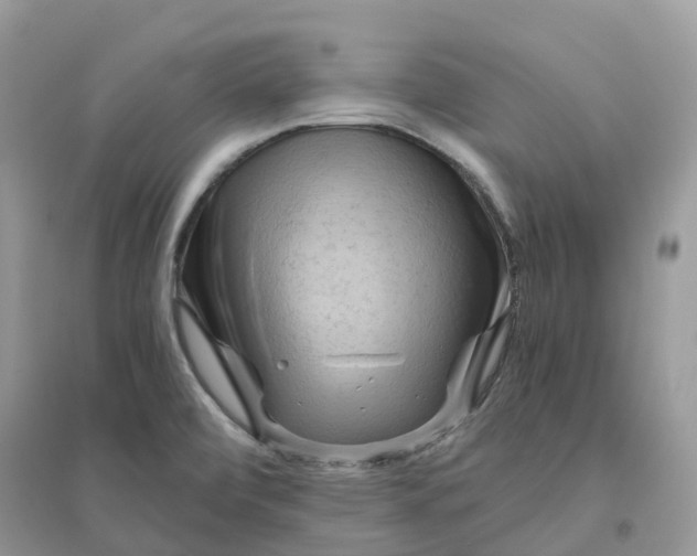 X0000096161472200802011244