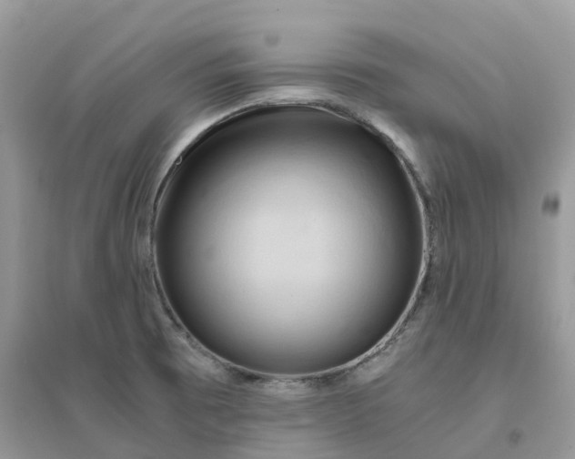 X0000096161473200802011244