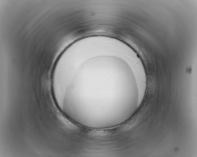 X0000096161474200802011244