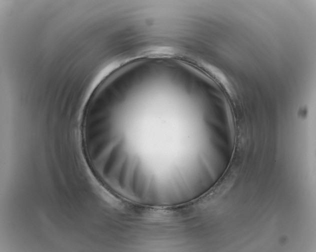 X0000096161475200802011244