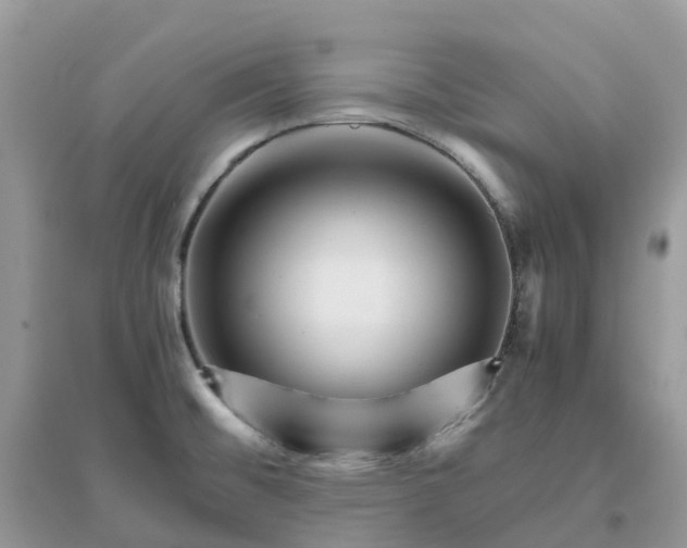 X0000096161476200802011244