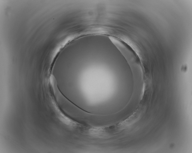 X0000096161477200802011244