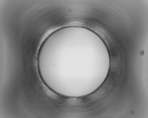 X0000096161478200802011244