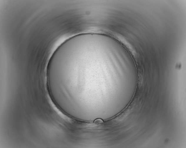 X0000096161479200802011244