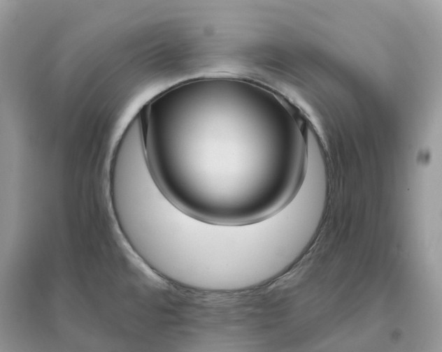 X0000096161480200802011244