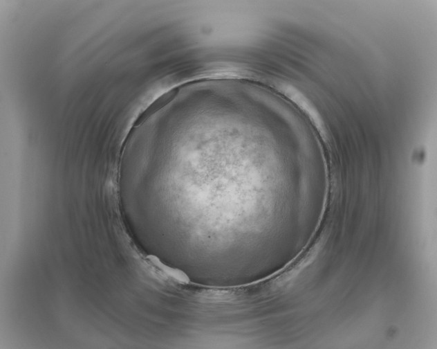 X0000096161481200802011244