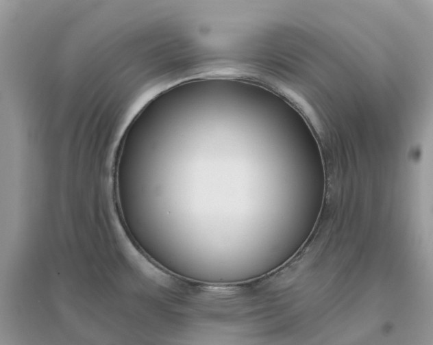 X0000096161483200802011244