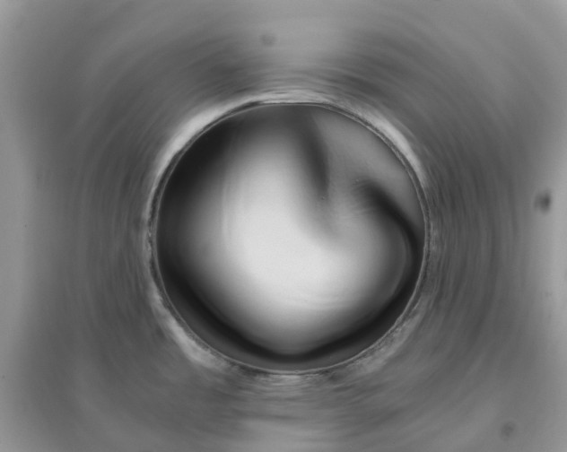 X0000096161485200802011244