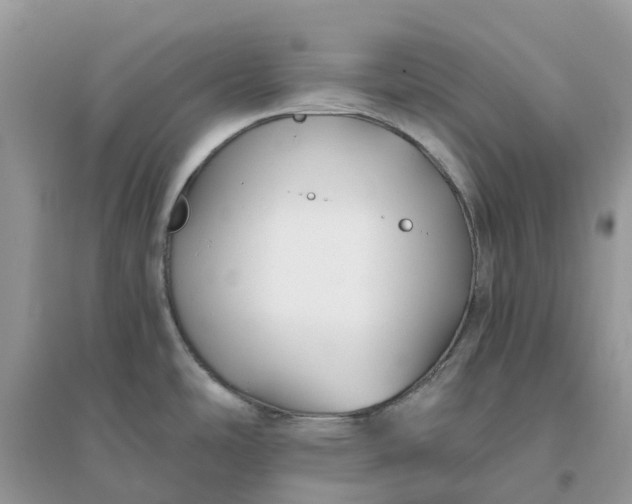 X0000096161486200802011244