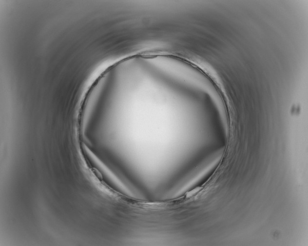 X0000096161488200802011244