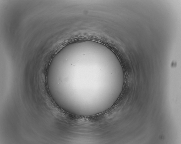 X0000096161489200802011243