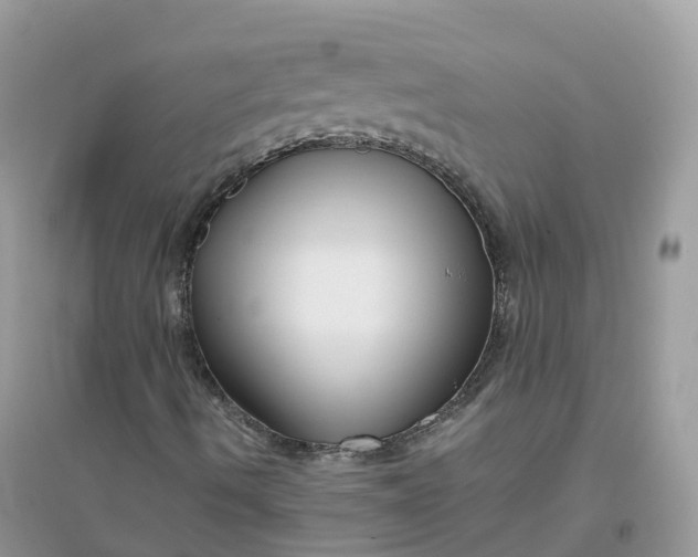 X0000096161490200802011243