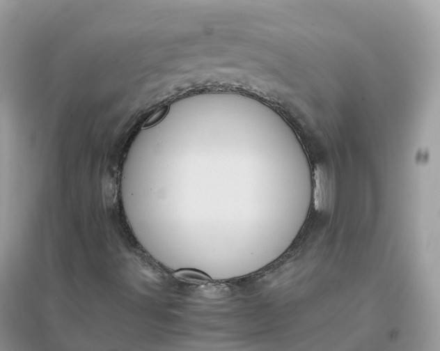 X0000096161491200802011243