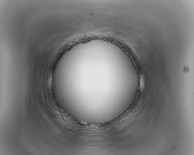 X0000096161492200802011243