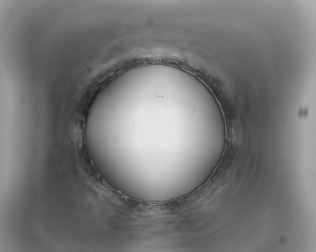 X0000096161493200802011243