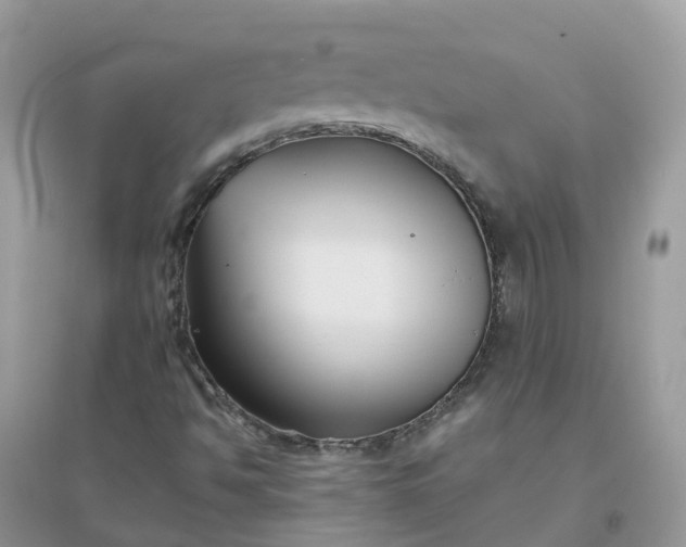 X0000096161494200802011243