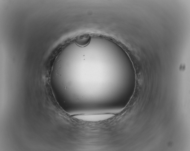 X0000096161495200802011243