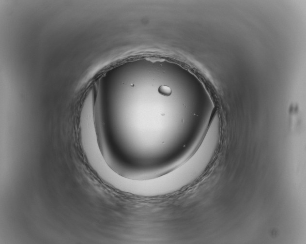 X0000096161496200802011243