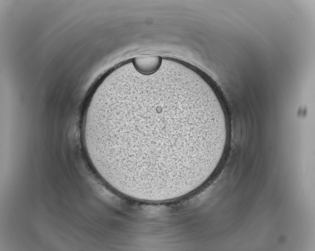 X0000096161498200802011243