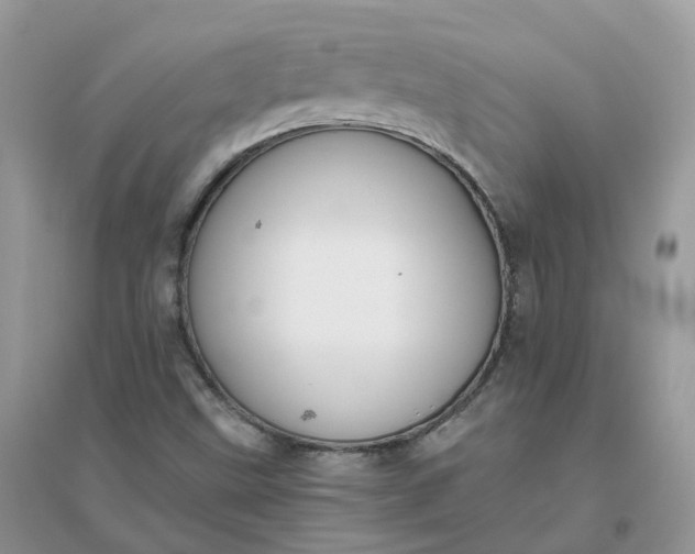 X0000096161499200802011243