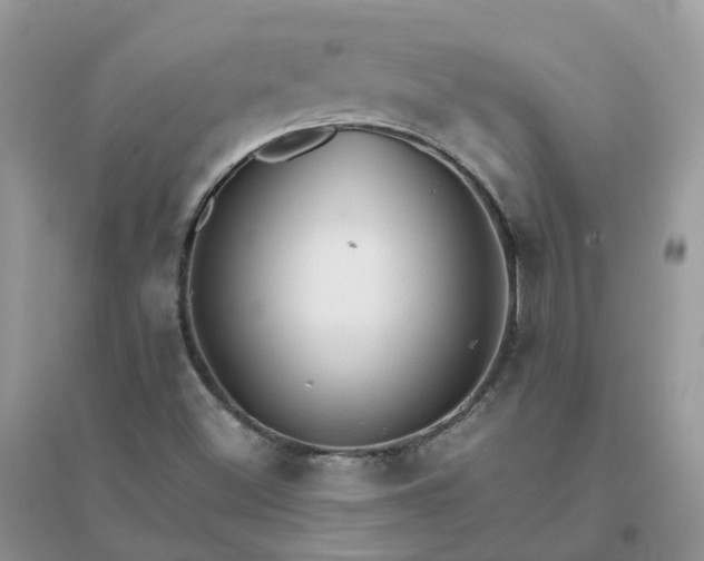 X0000096161500200802011243