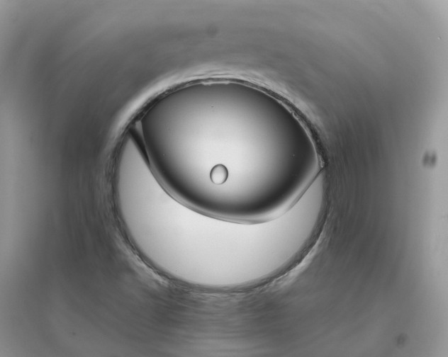 X0000096161502200802011243