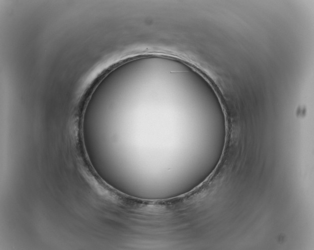 X0000096161503200802011244