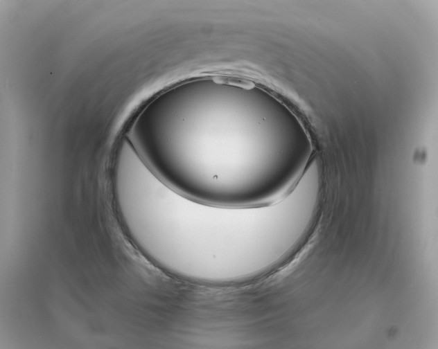 X0000096161506200802011244