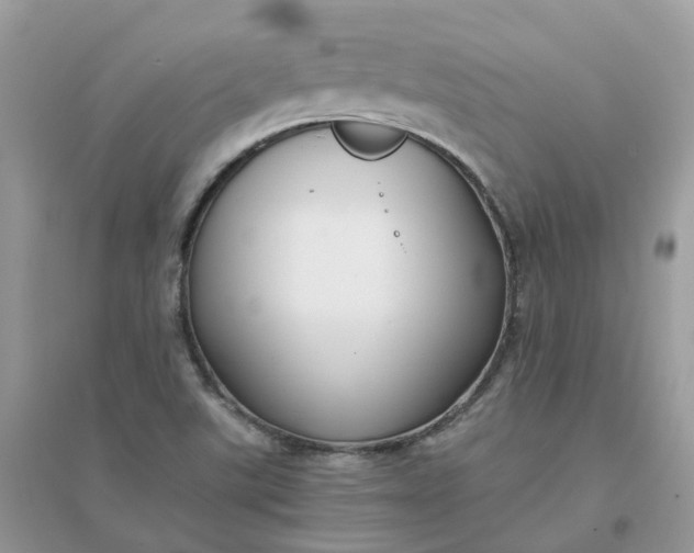 X0000096161507200802011244