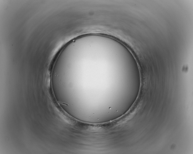 X0000096161509200802011244