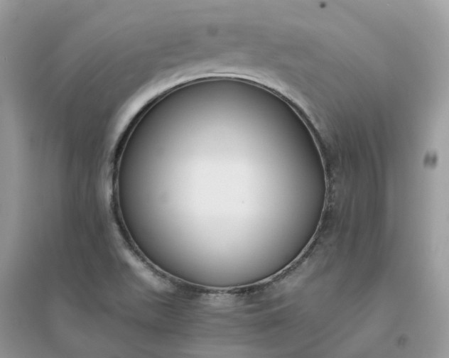 X0000096161511200802011244