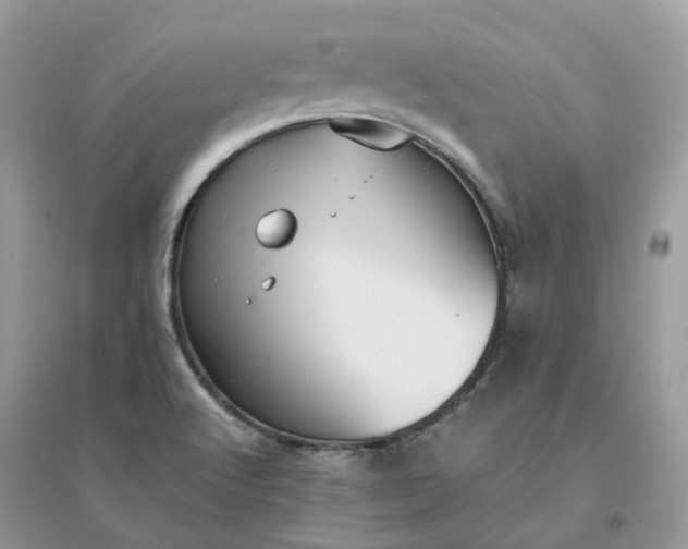 X0000096161512200802011244