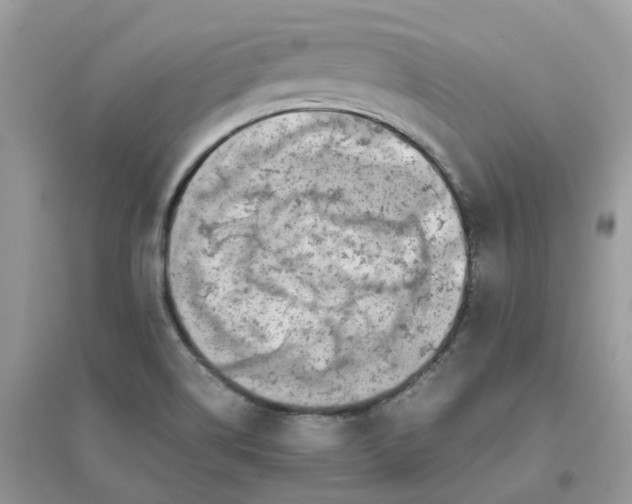 X0000096161514200802011244