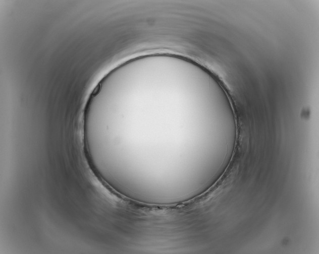 X0000096161516200802011244