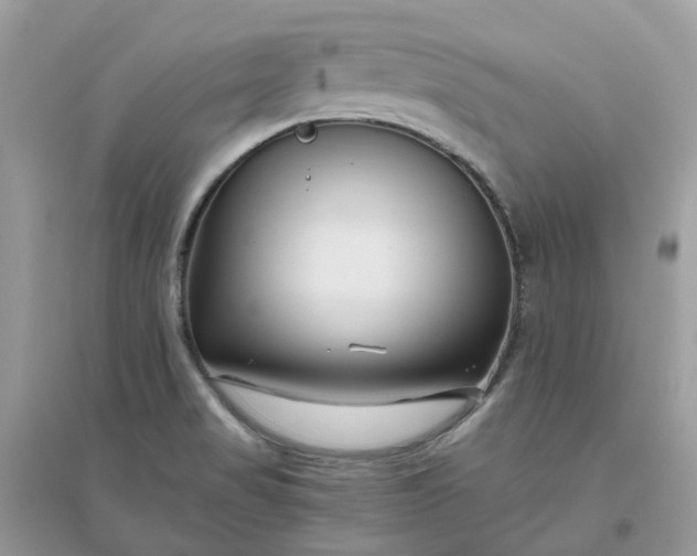 X0000096161517200802011244