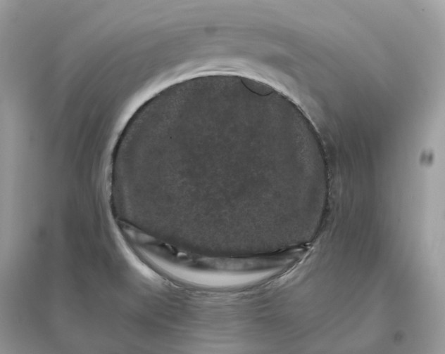 X0000096161519200802011244